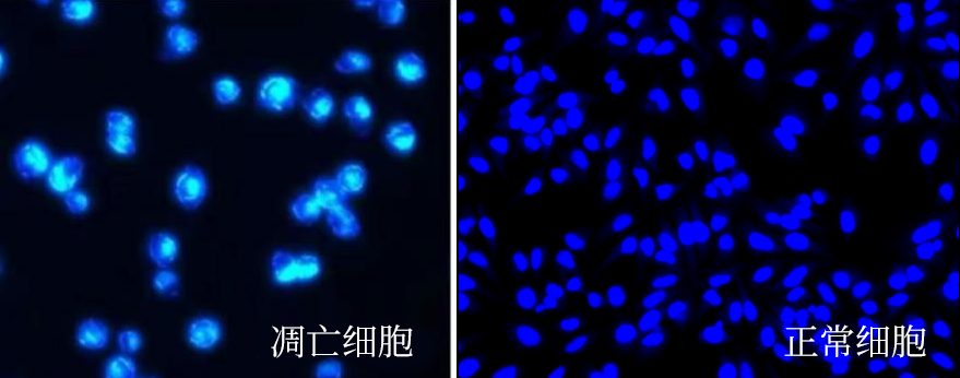 圖片2.jpg